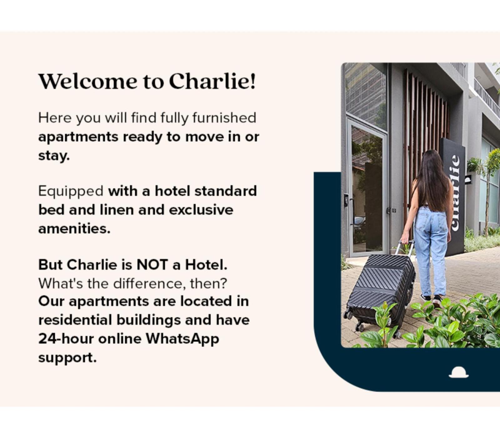 Charlie Franca Jardim Paulista Apartman São Paulo Kültér fotó